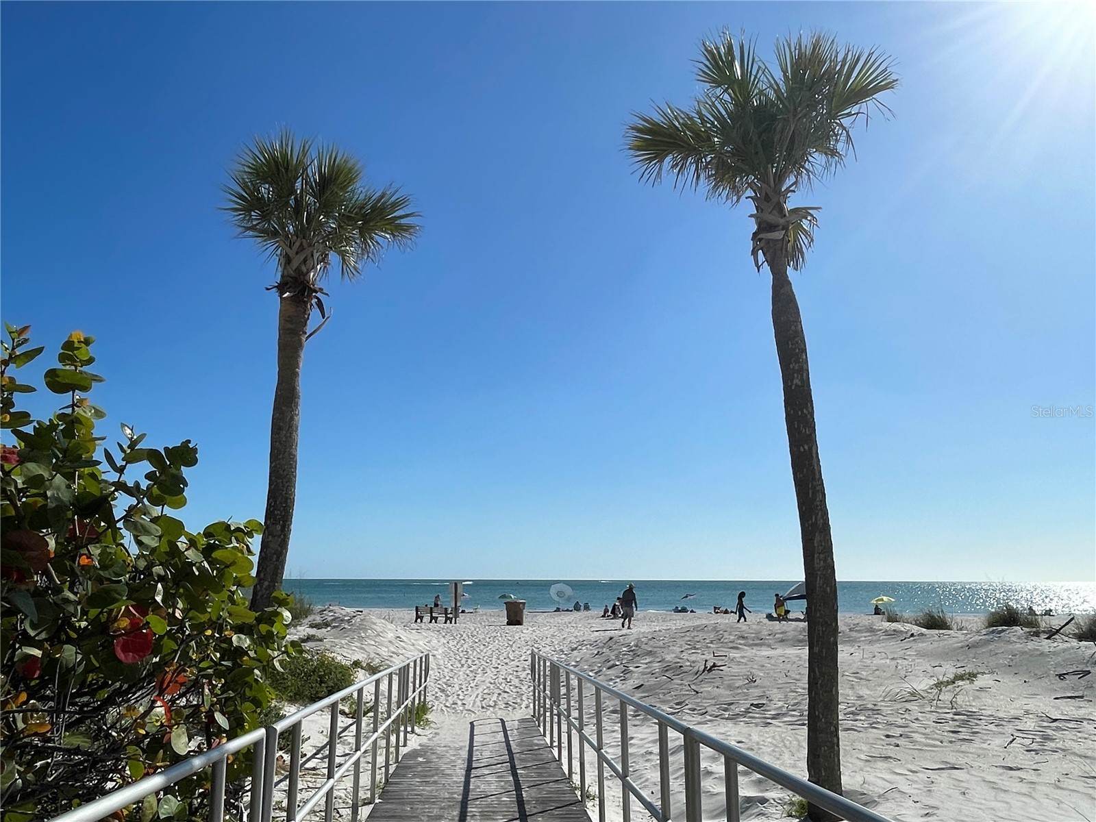 14181 E Parsley Drive Madeira Beach FL 33708 TB8481121 image33