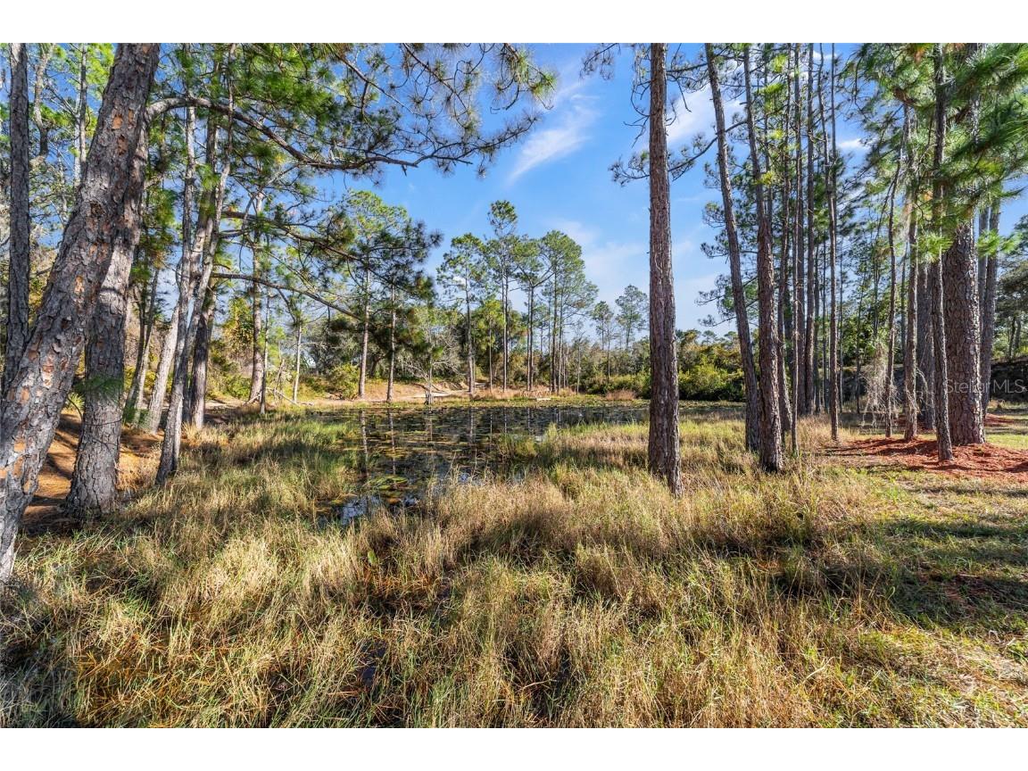 14181 SE 211th Court Umatilla FL 32784 OM713859 image91