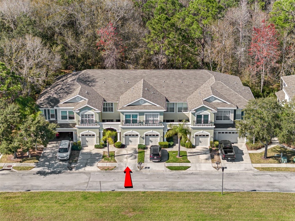 14181 Waterville Circle Tampa FL 33626 T3504087 image1