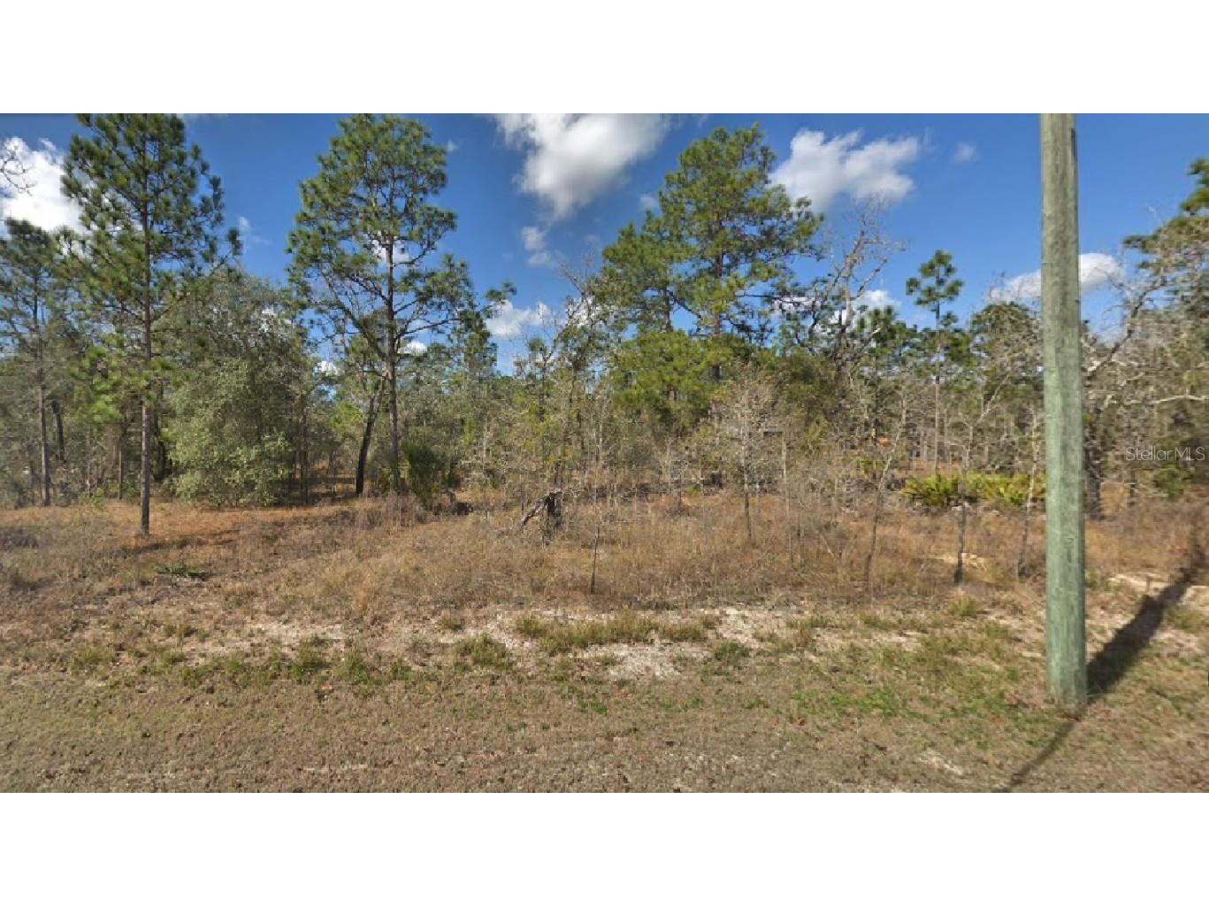 14183 English Sparrow Road Weeki Wachee FL 34614 O6162897 image1