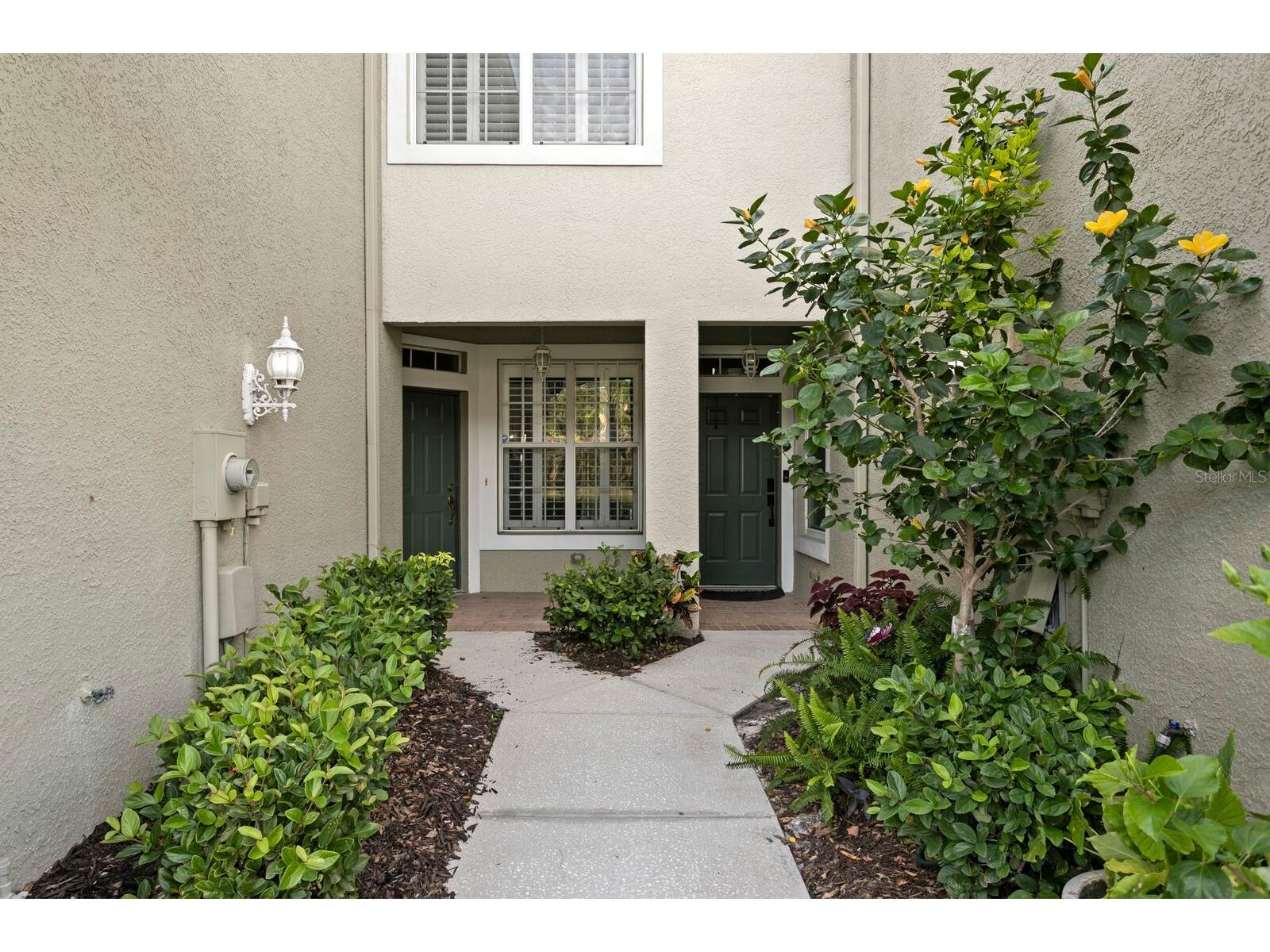14183 Waterville Circle Tampa FL 33626 TB8523109 image2