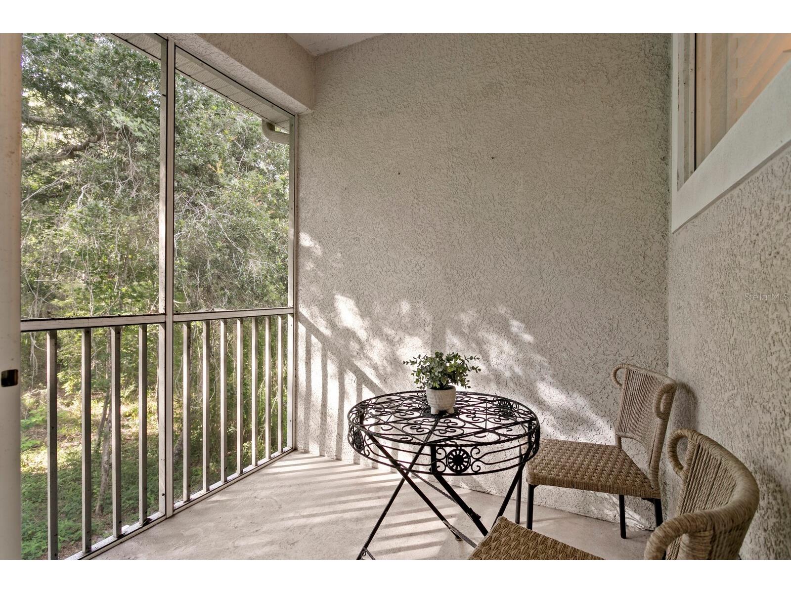 14183 Waterville Circle Tampa FL 33626 TB8523109 image24