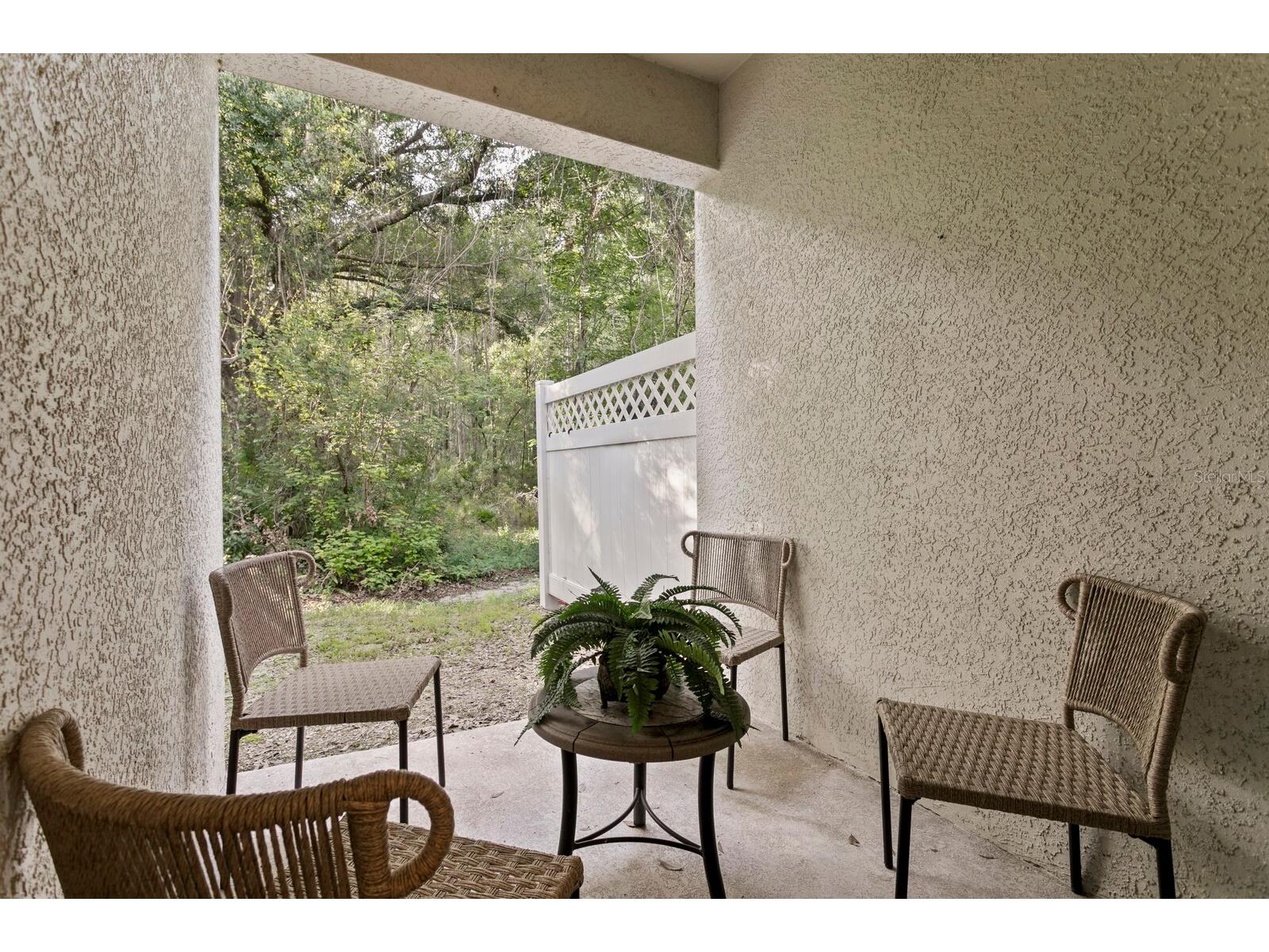 14183 Waterville Circle Tampa FL 33626 TB8523109 image38