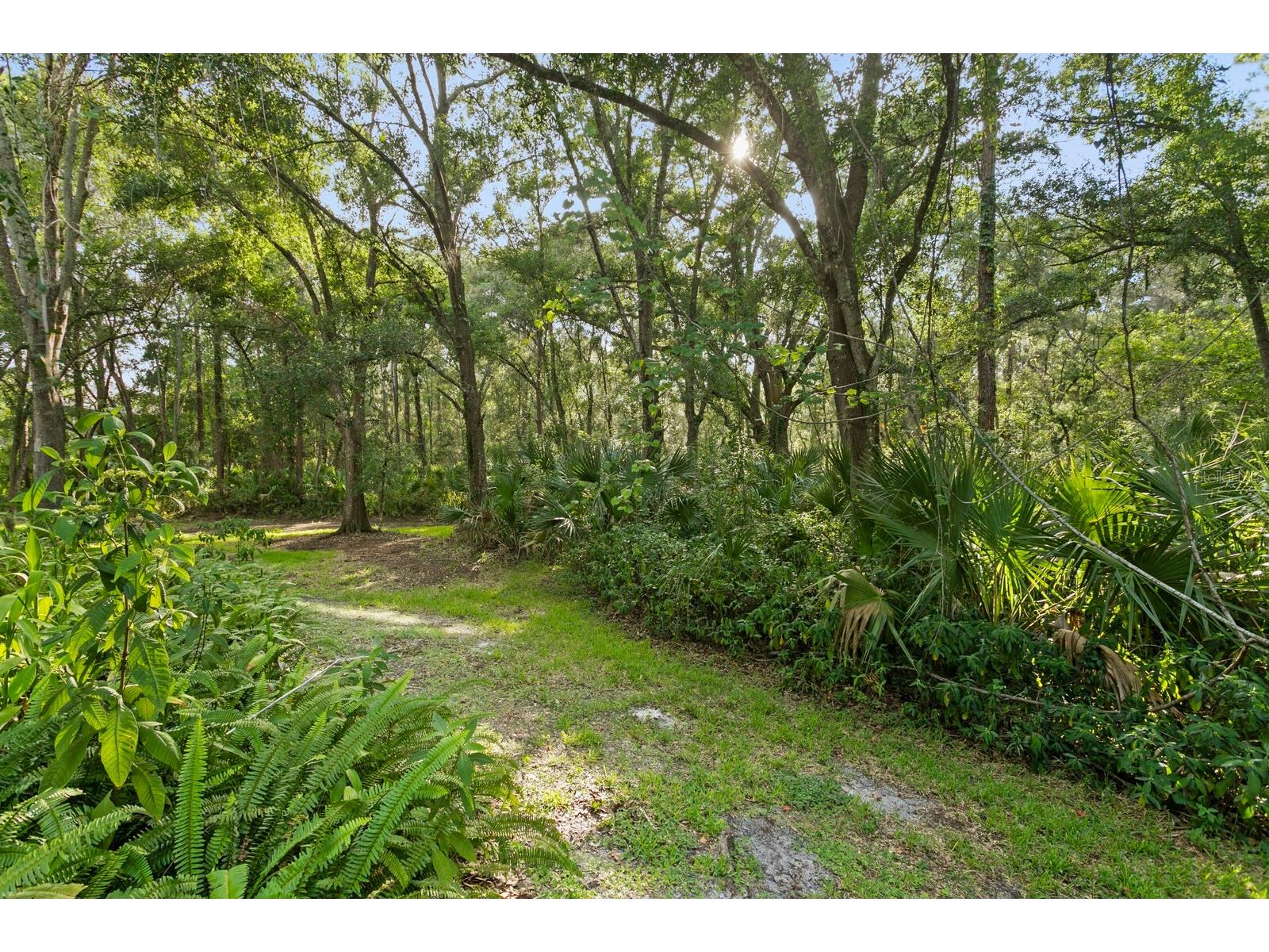 14183 Waterville Circle Tampa FL 33626 TB8523109 image40