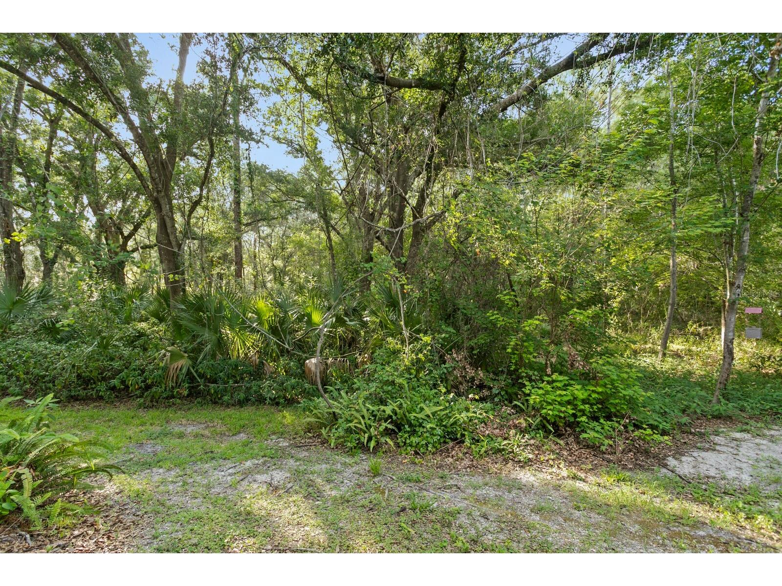 14183 Waterville Circle Tampa FL 33626 TB8523109 image41