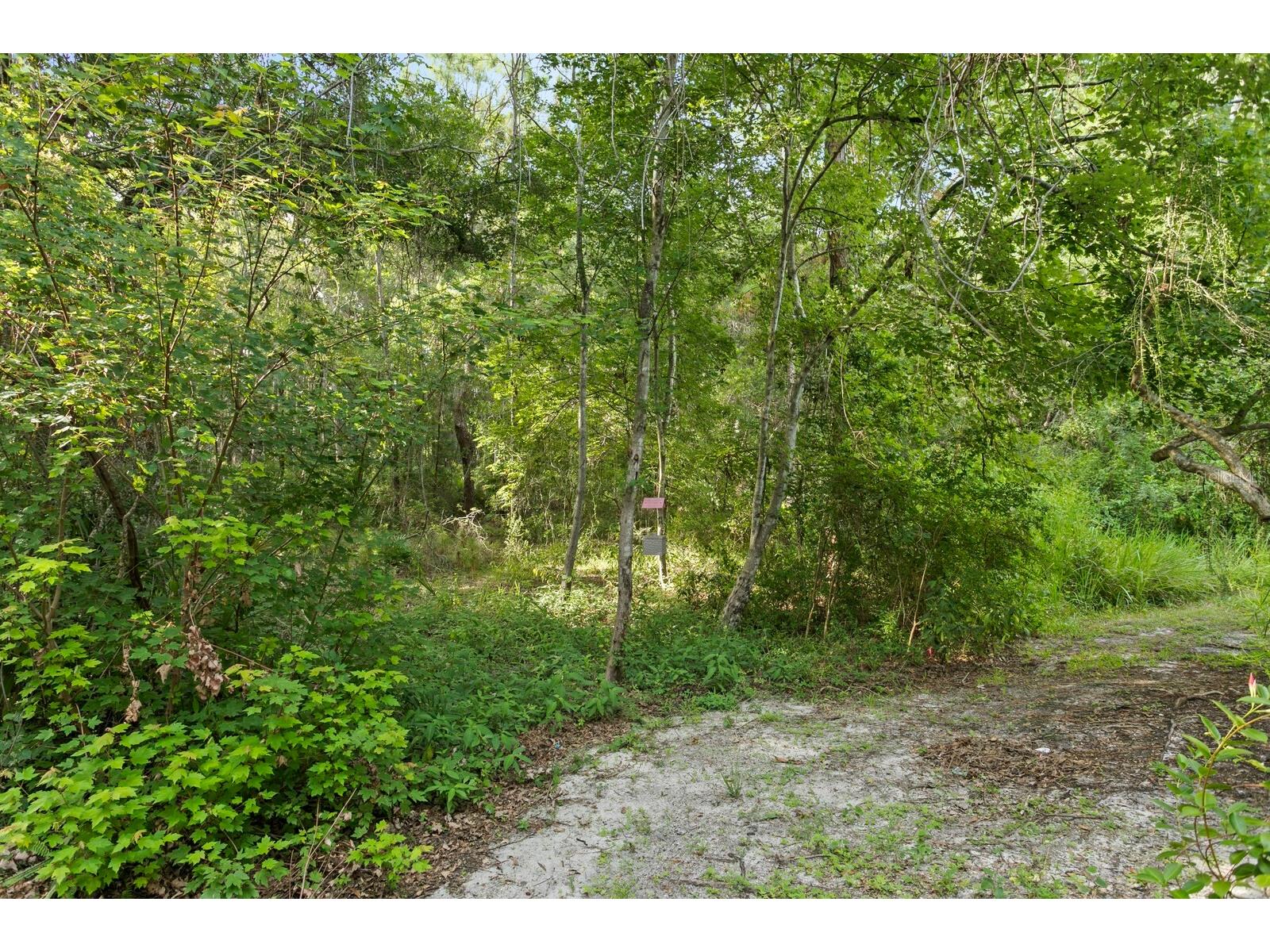14183 Waterville Circle Tampa FL 33626 TB8523109 image42