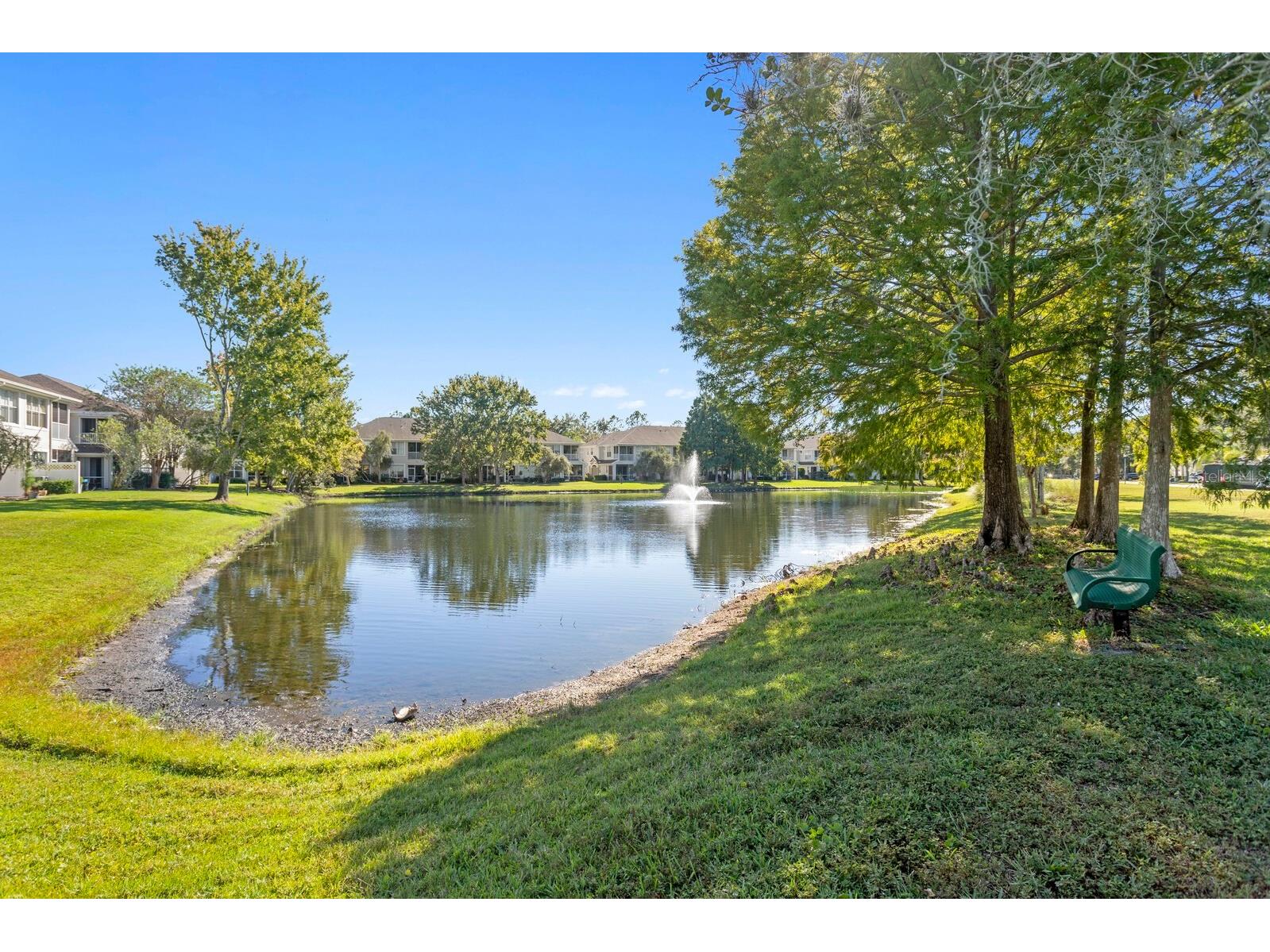 14183 Waterville Circle Tampa FL 33626 TB8523109 image46