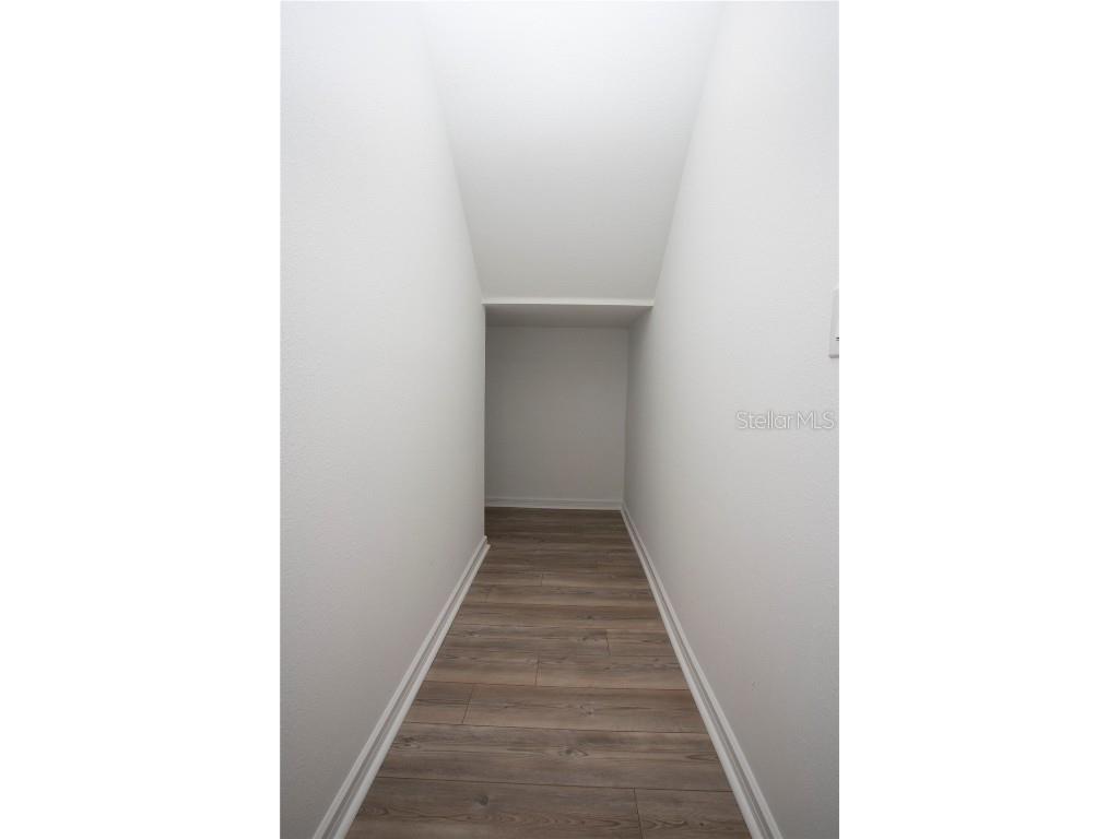 14184 Hammock Crest Way Riverview FL 33569 TB8351535 image15