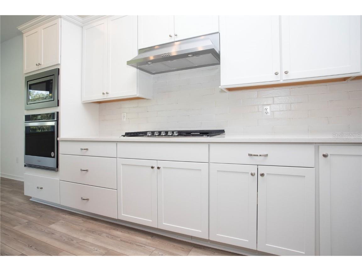 14184 Hammock Crest Way Riverview FL 33569 TB8351535 image29