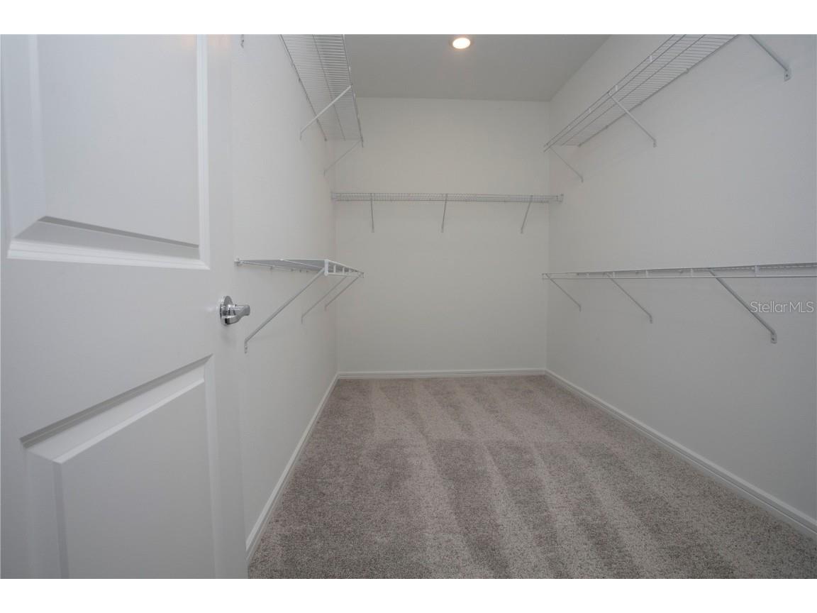 14184 Hammock Crest Way Riverview FL 33569 TB8351535 image38