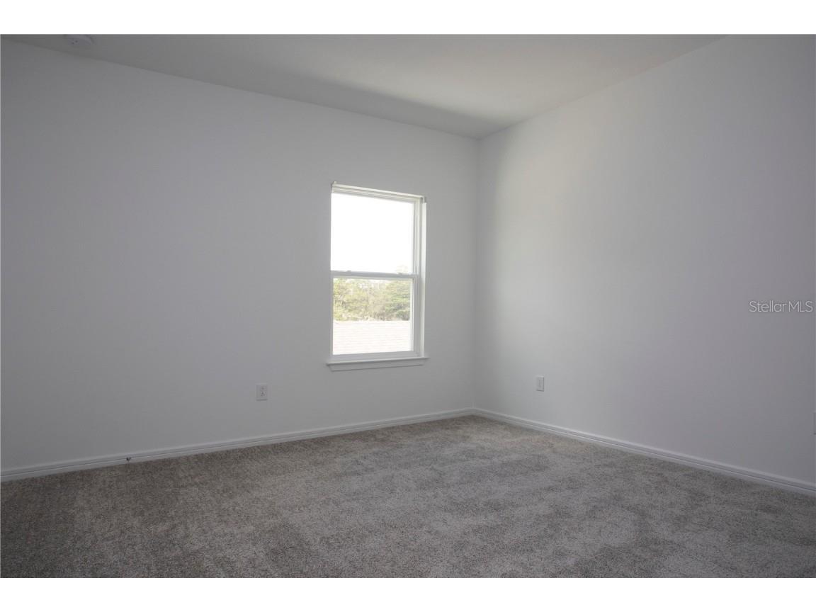 14184 Hammock Crest Way Riverview FL 33569 TB8351535 image41