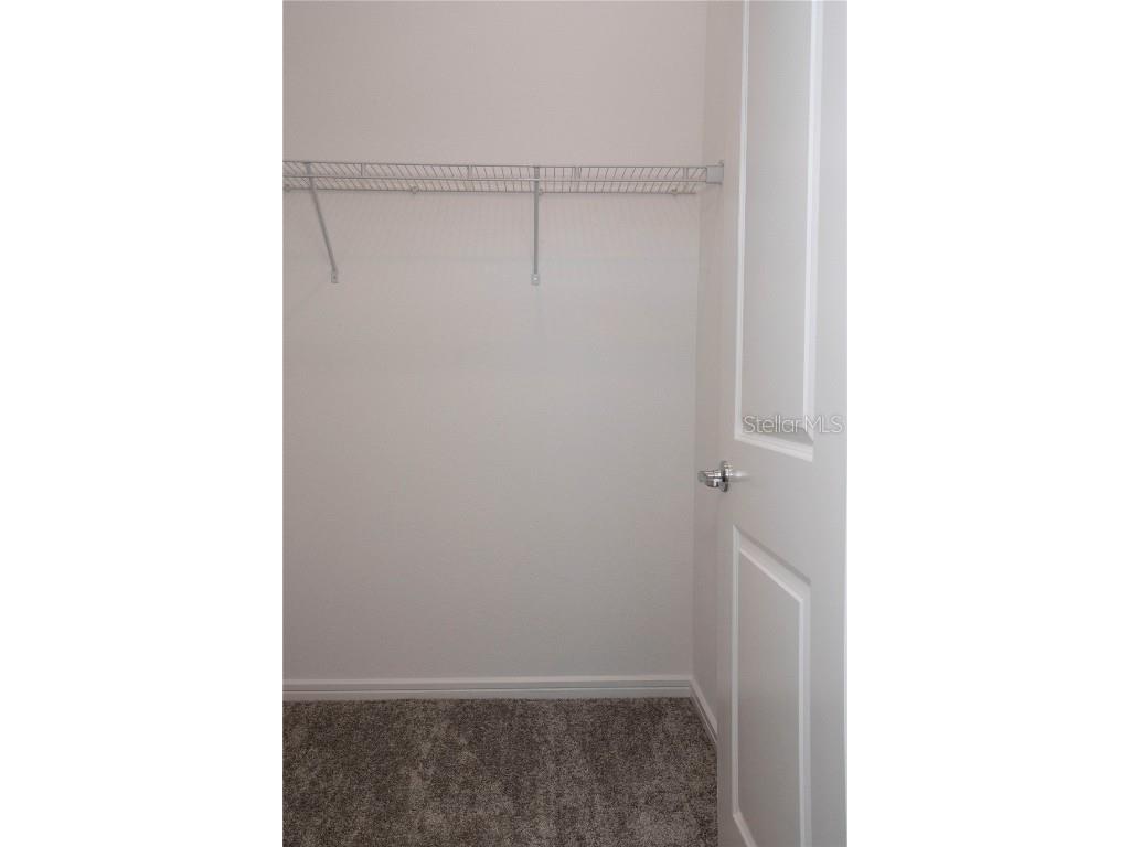 14184 Hammock Crest Way Riverview FL 33569 TB8398932 image14