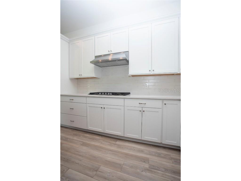 14184 Hammock Crest Way Riverview FL 33569 TB8398932 image33