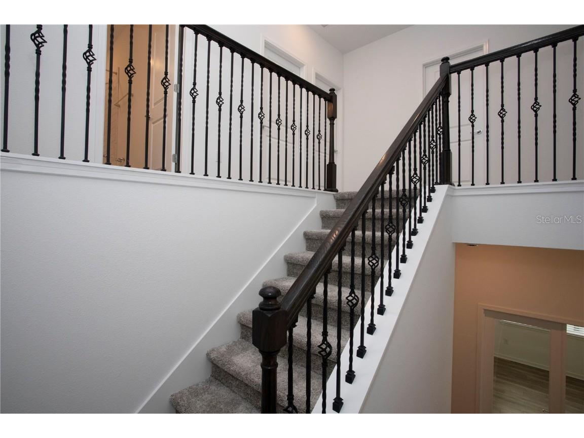 14184 Hammock Crest Way Riverview FL 33569 TB8398932 image39