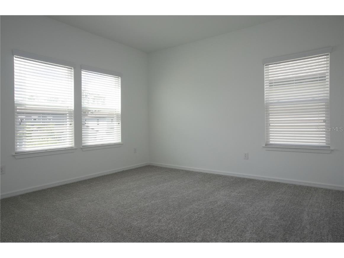 14184 Hammock Crest Way Riverview FL 33569 TB8398932 image52