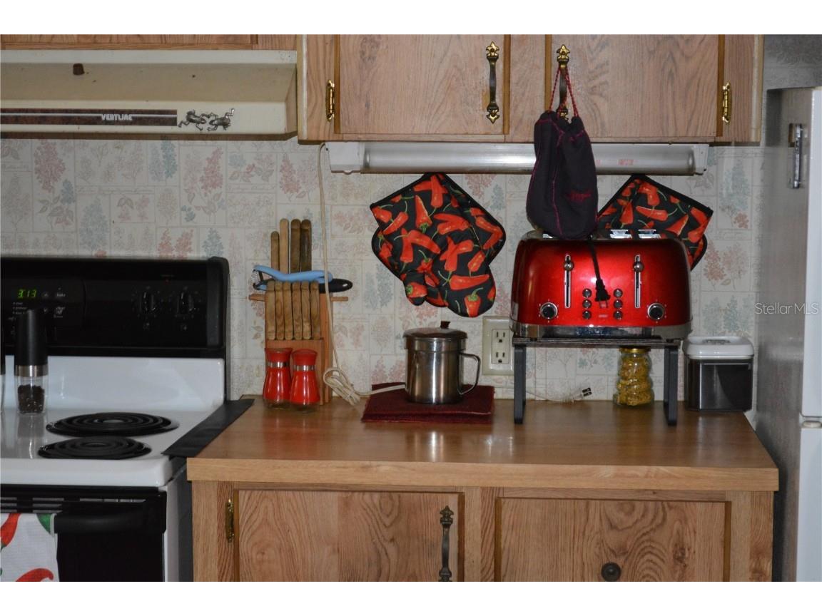 14186 NE 199th Place Fort Mc Coy FL 32134 - OCKLAHAWA RIVER G5097741 image13