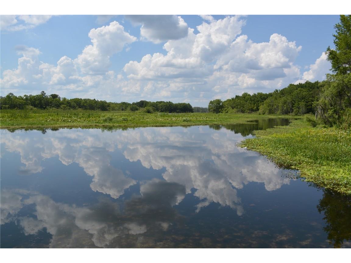 14186 NE 199th Place Fort Mc Coy FL 32134 - OCKLAHAWA RIVER G5097741 image4