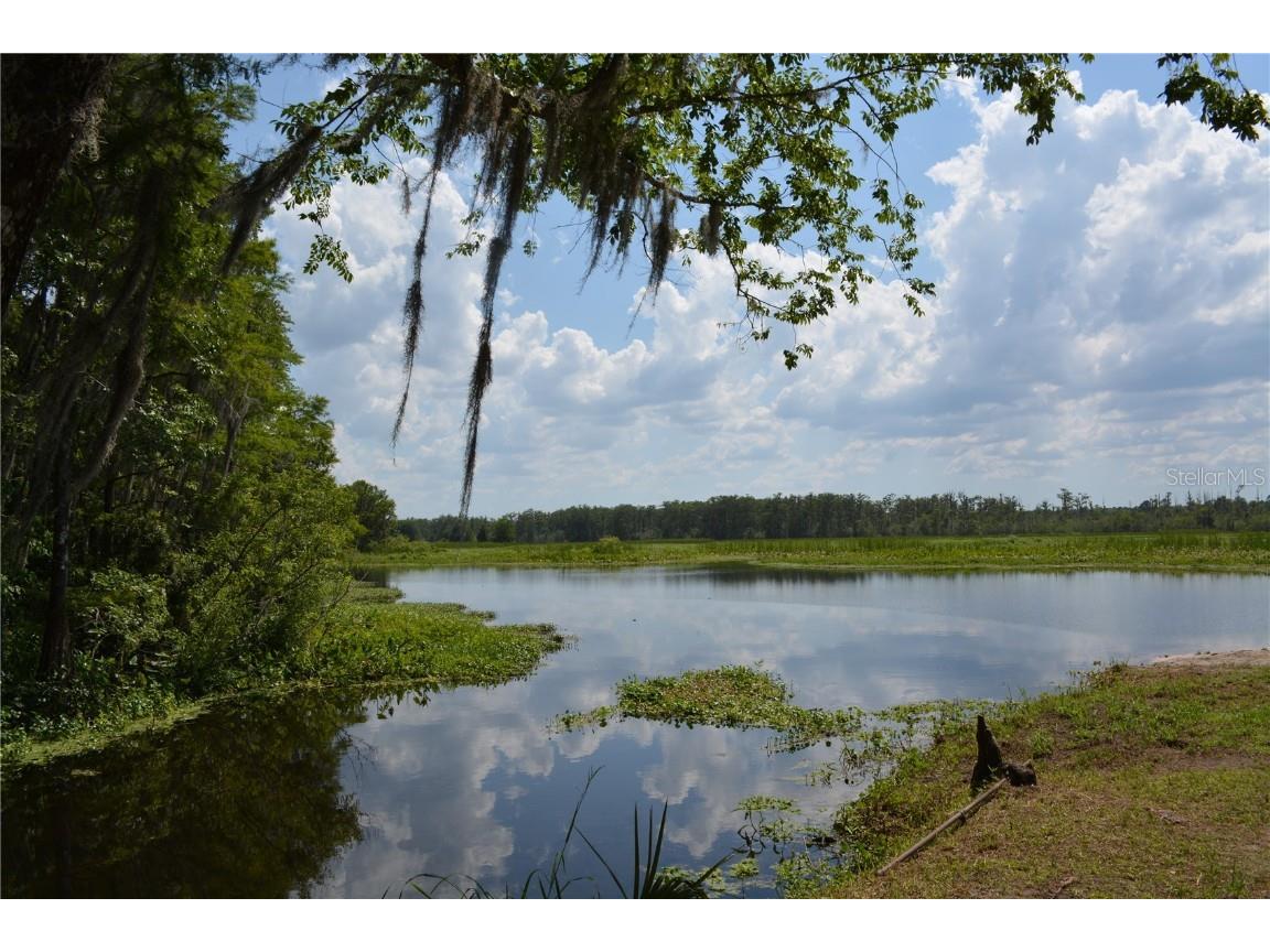 14186 NE 199th Place Fort Mc Coy FL 32134 - OCKLAHAWA RIVER G5097741 image40