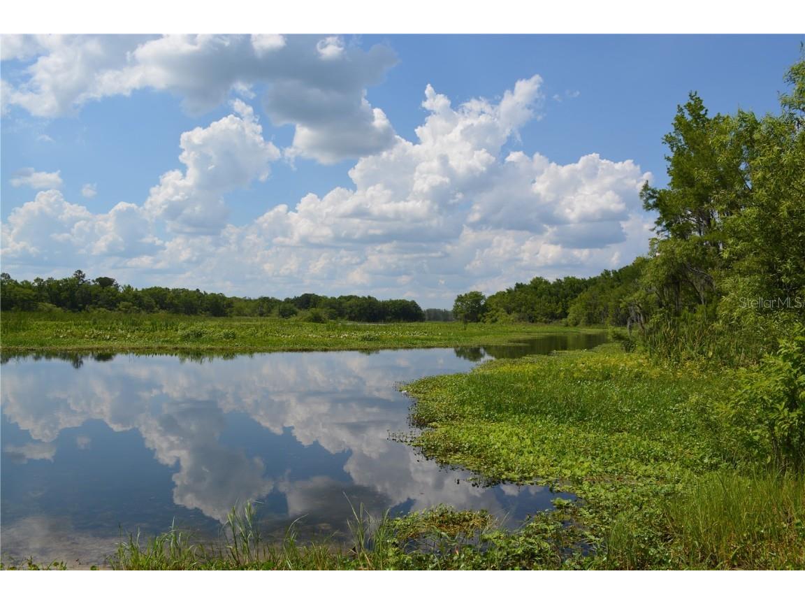 14186 NE 199th Place Fort Mc Coy FL 32134 - OCKLAHAWA RIVER G5097741 image41