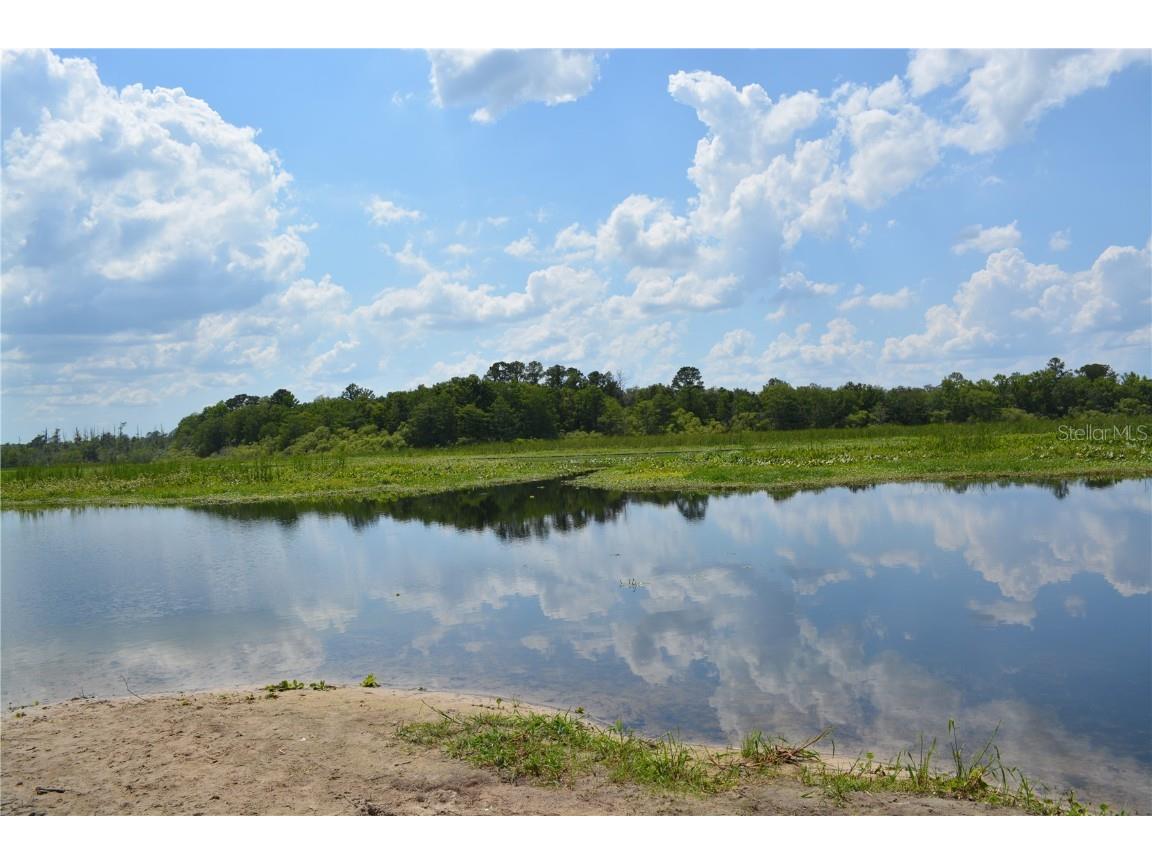 14186 NE 199th Place Fort Mc Coy FL 32134 - OCKLAHAWA RIVER G5097741 image42