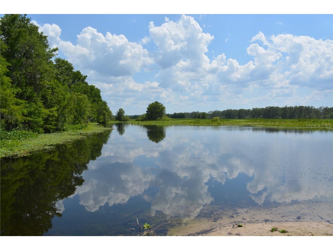 14186 NE 199th Place Fort Mc Coy FL 32134 - OCKLAHAWA RIVER G5097741 image43