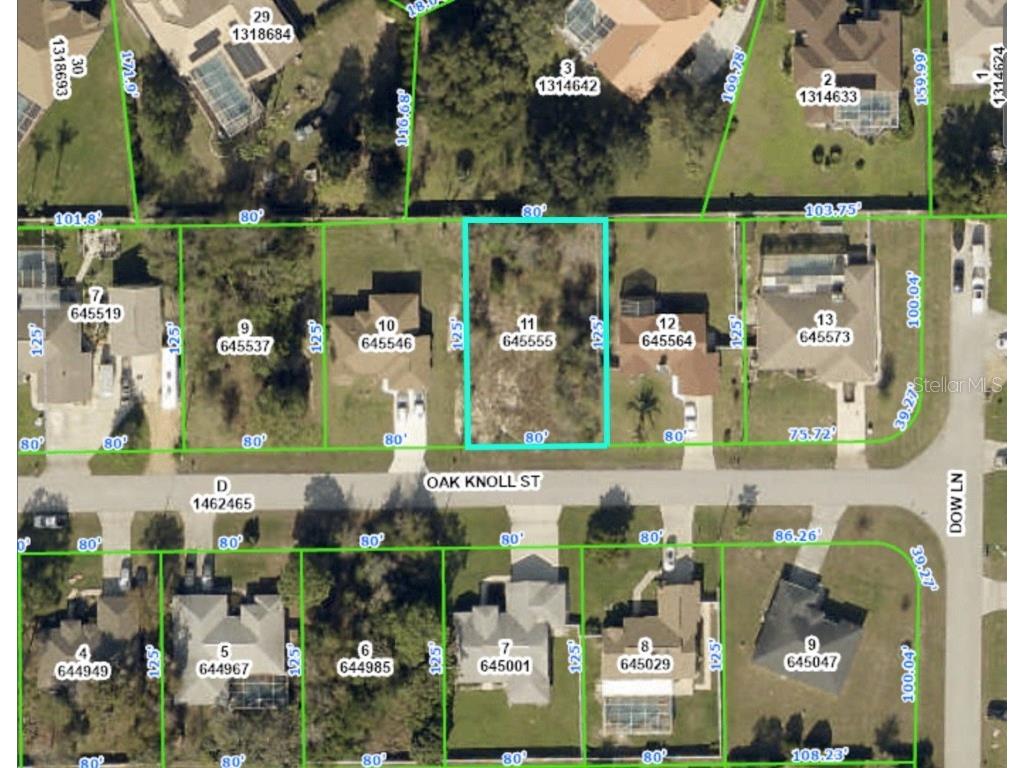 14187 Oak Knoll Street Spring Hill FL 34609 W7863150 image1