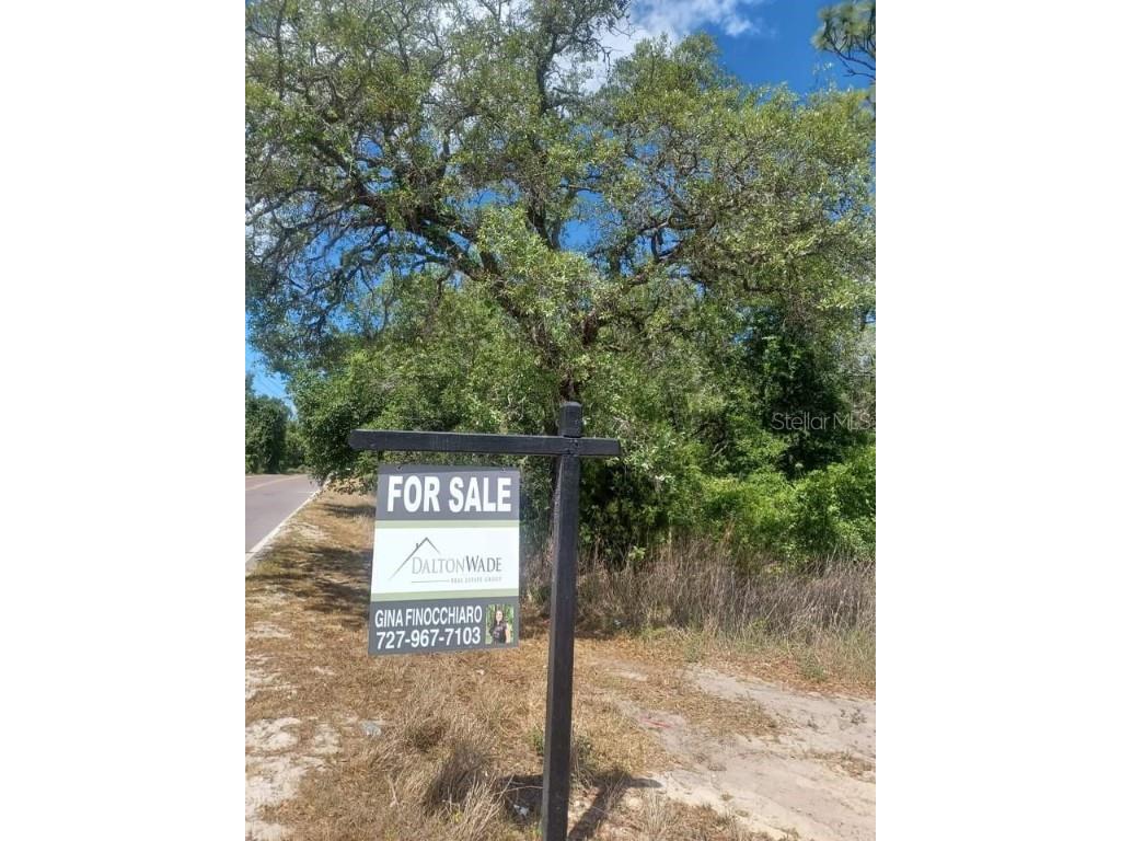 14189 Peace Boulevard Spring Hill FL 34610 W7856797 image1