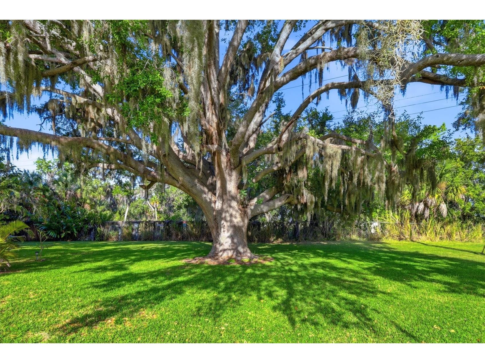 1419 41st Avenue E Ellenton FL 34222 A4689644 image23