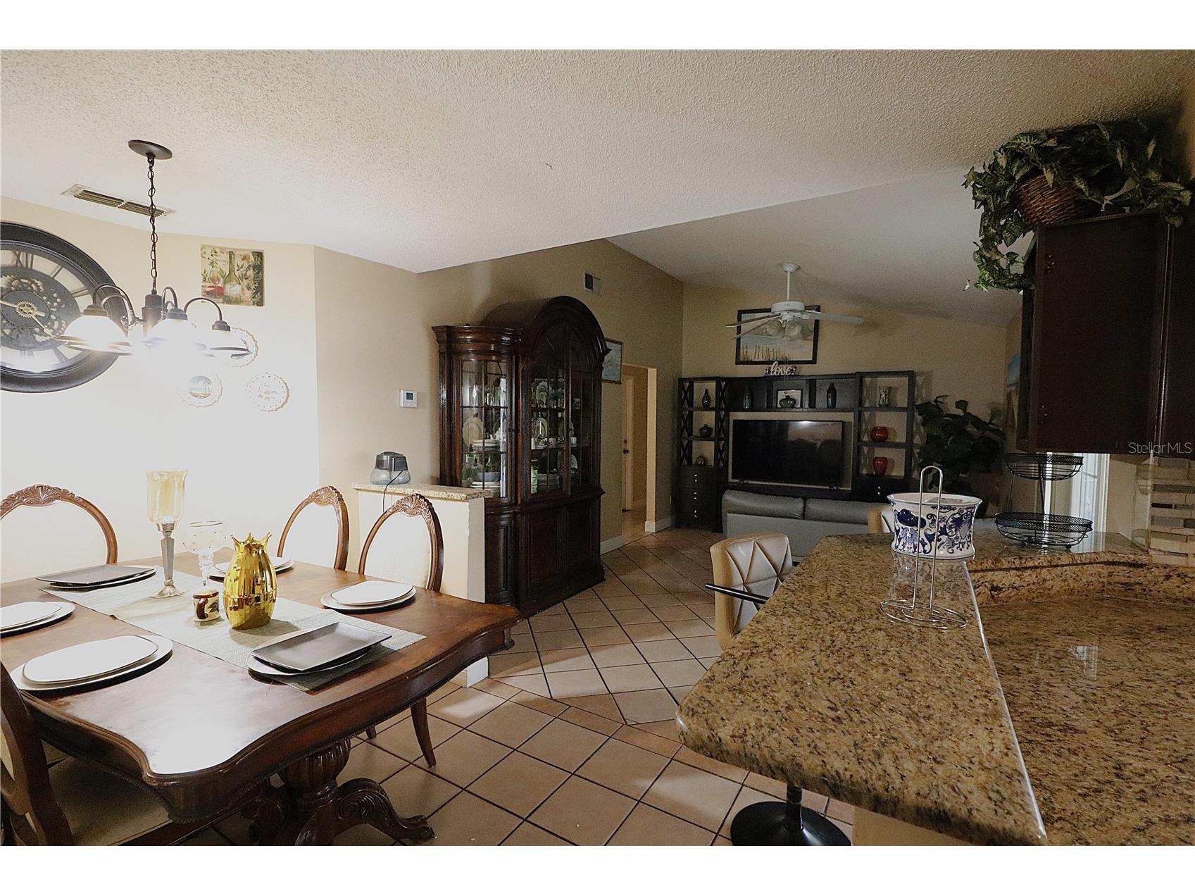 1419 Carriage Oak Court Ocoee FL 34761 O6427387 image4