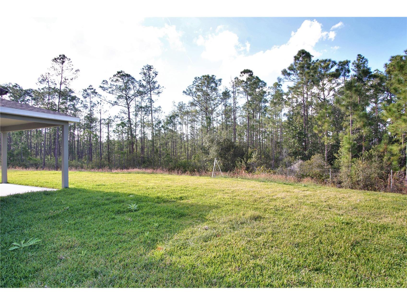 1419 Eucalyptus Way Davenport FL 33837 S5146016 image3