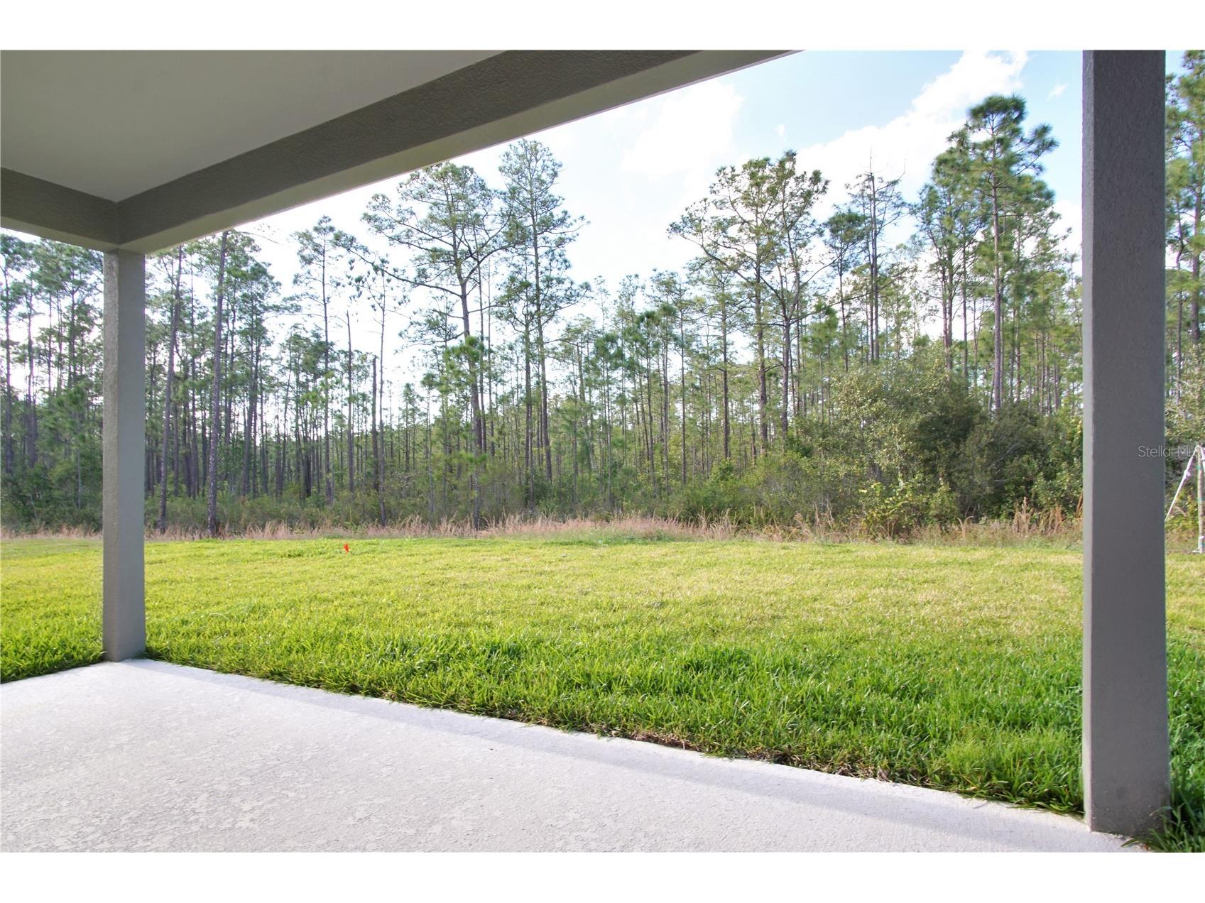 1419 Eucalyptus Way Davenport FL 33837 S5146016 image6