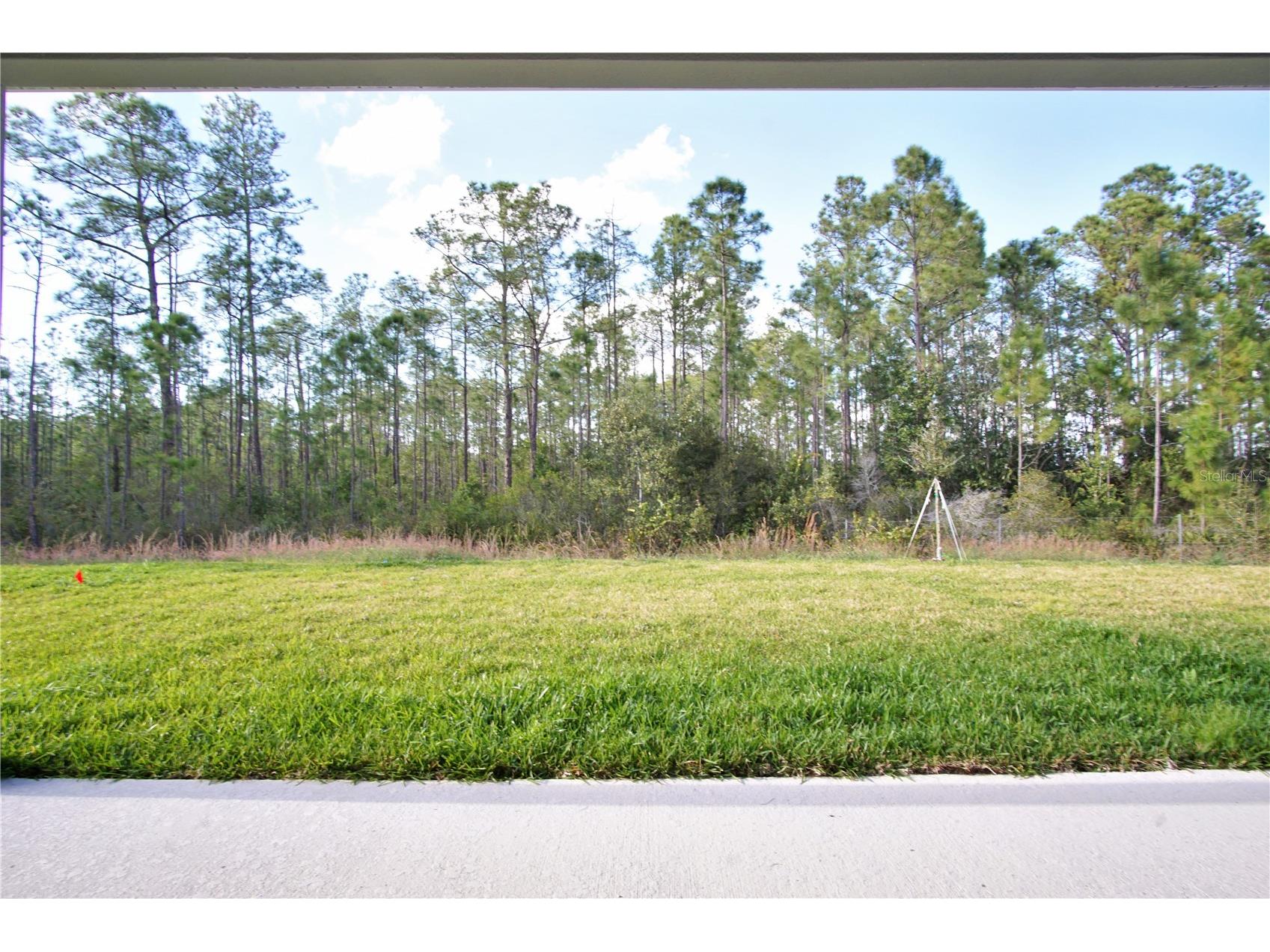 1419 Eucalyptus Way Davenport FL 33837 S5146016 image7