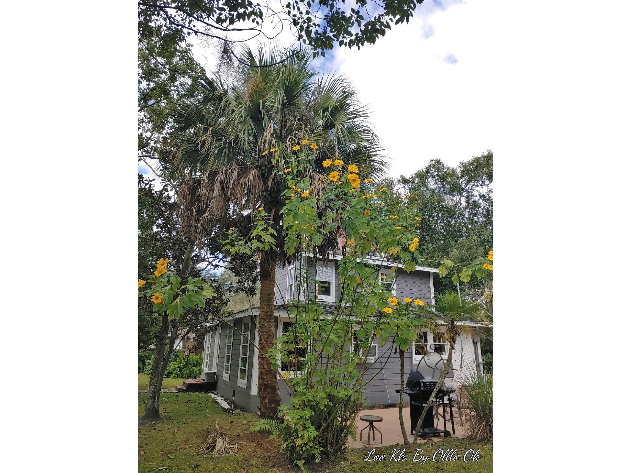 1419 King Street Kissimmee FL 34741 O6408271 image1