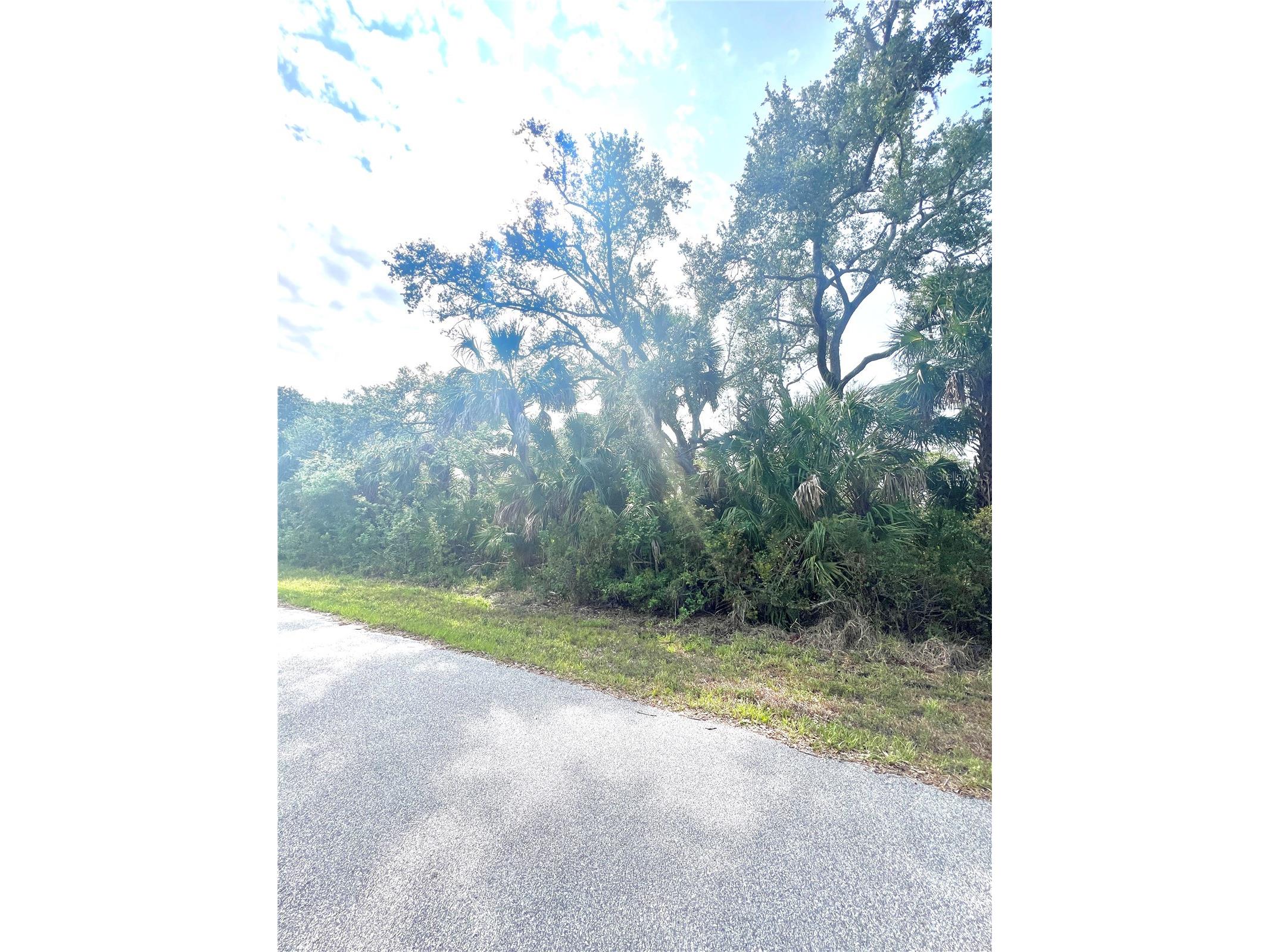 1419 Lace Terrace Port Charlotte FL 33953 TB8392683 image3