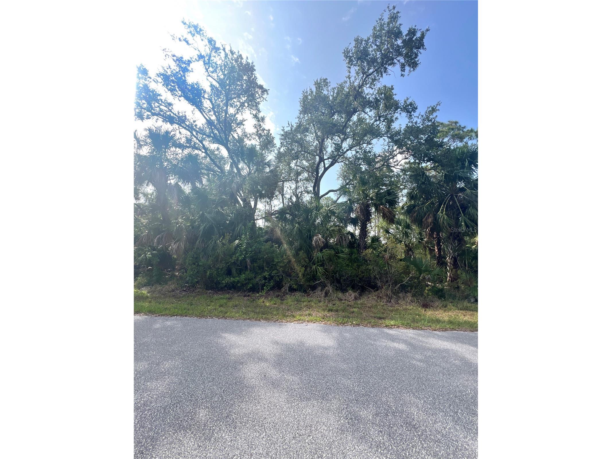 1419 Lace Terrace Port Charlotte FL 33953 TB8392683 image4