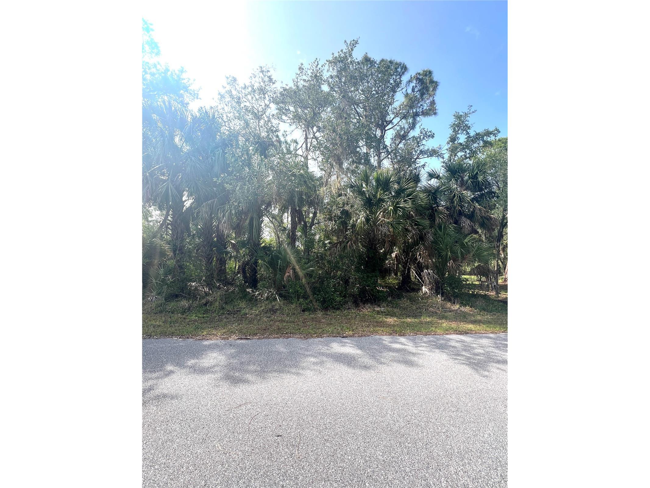 1419 Lace Terrace Port Charlotte FL 33953 TB8392683 image8