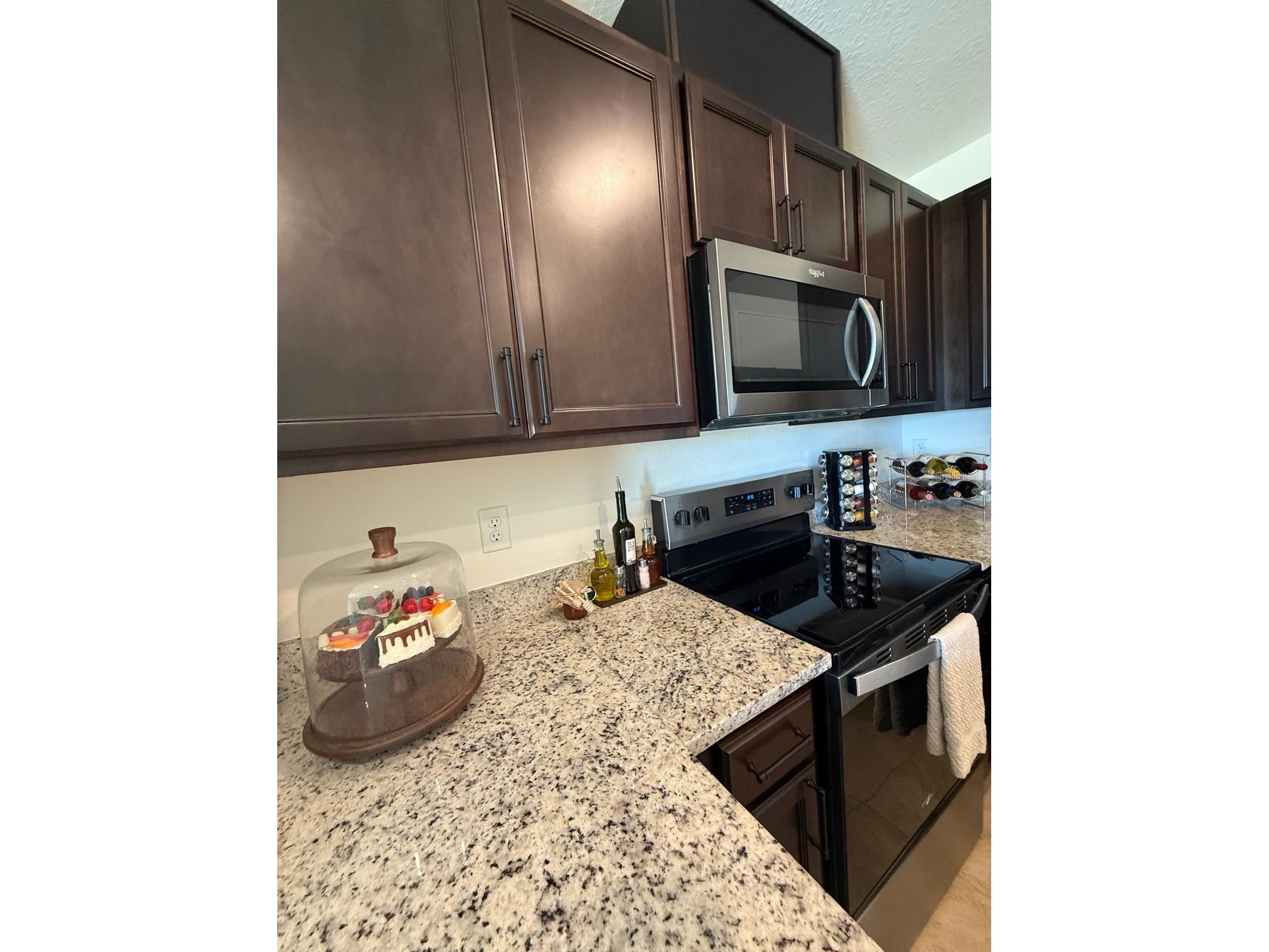 1419 Plank Place Davenport FL 33837 S5148411 image10