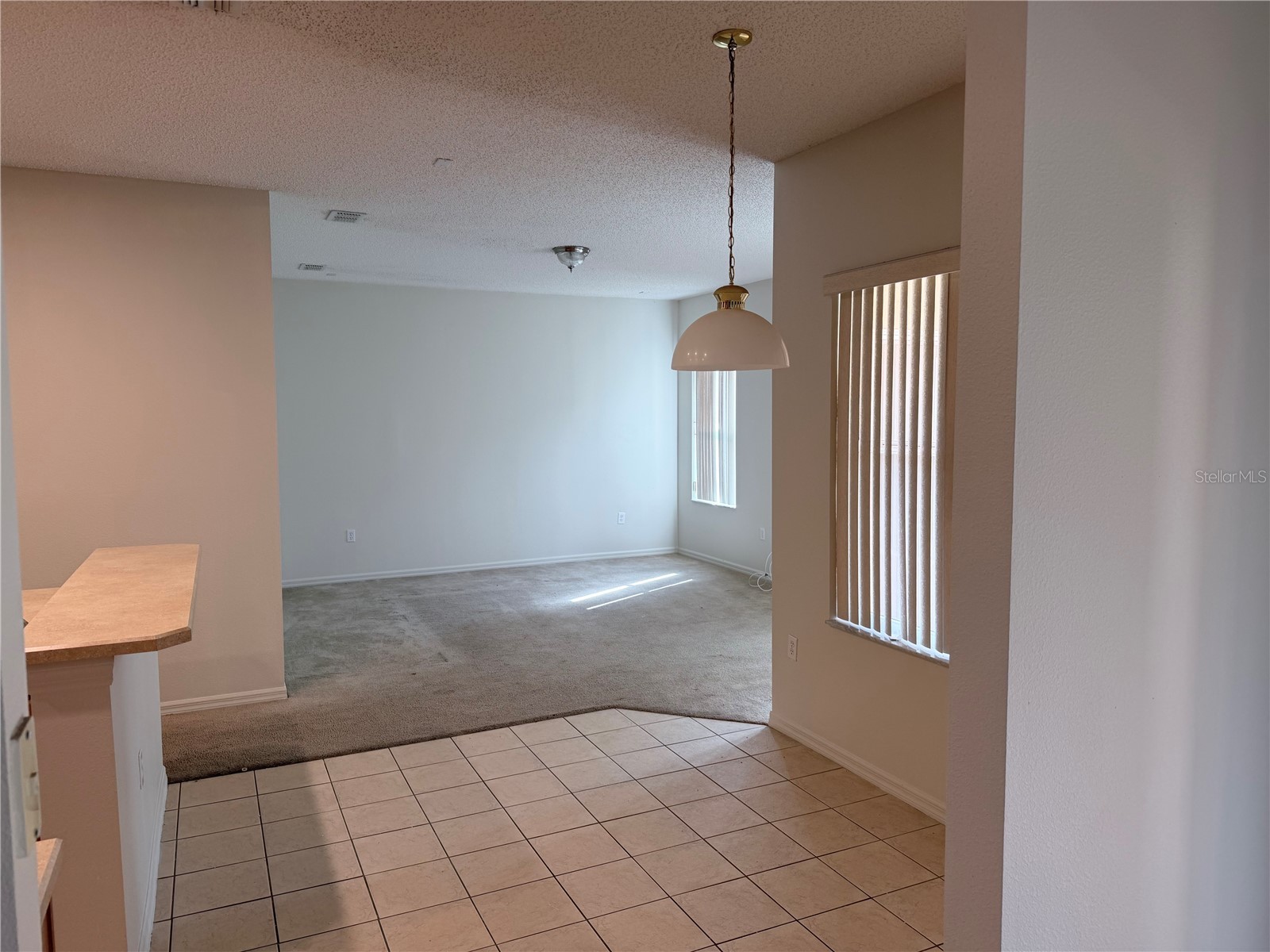 1419 Punta Gorda Drive Kissimmee FL 34759 S5136293 image15