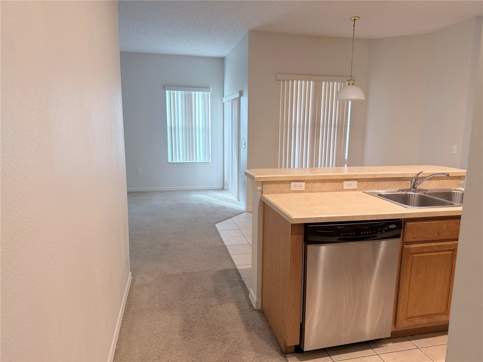 1419 Punta Gorda Drive Kissimmee FL 34759 S5136293 image19