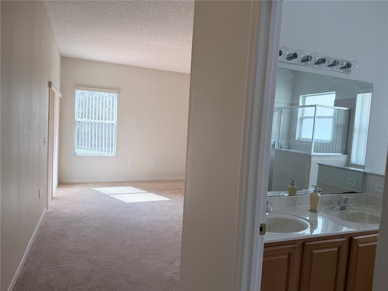 1419 Punta Gorda Drive Kissimmee FL 34759 S5136293 image25