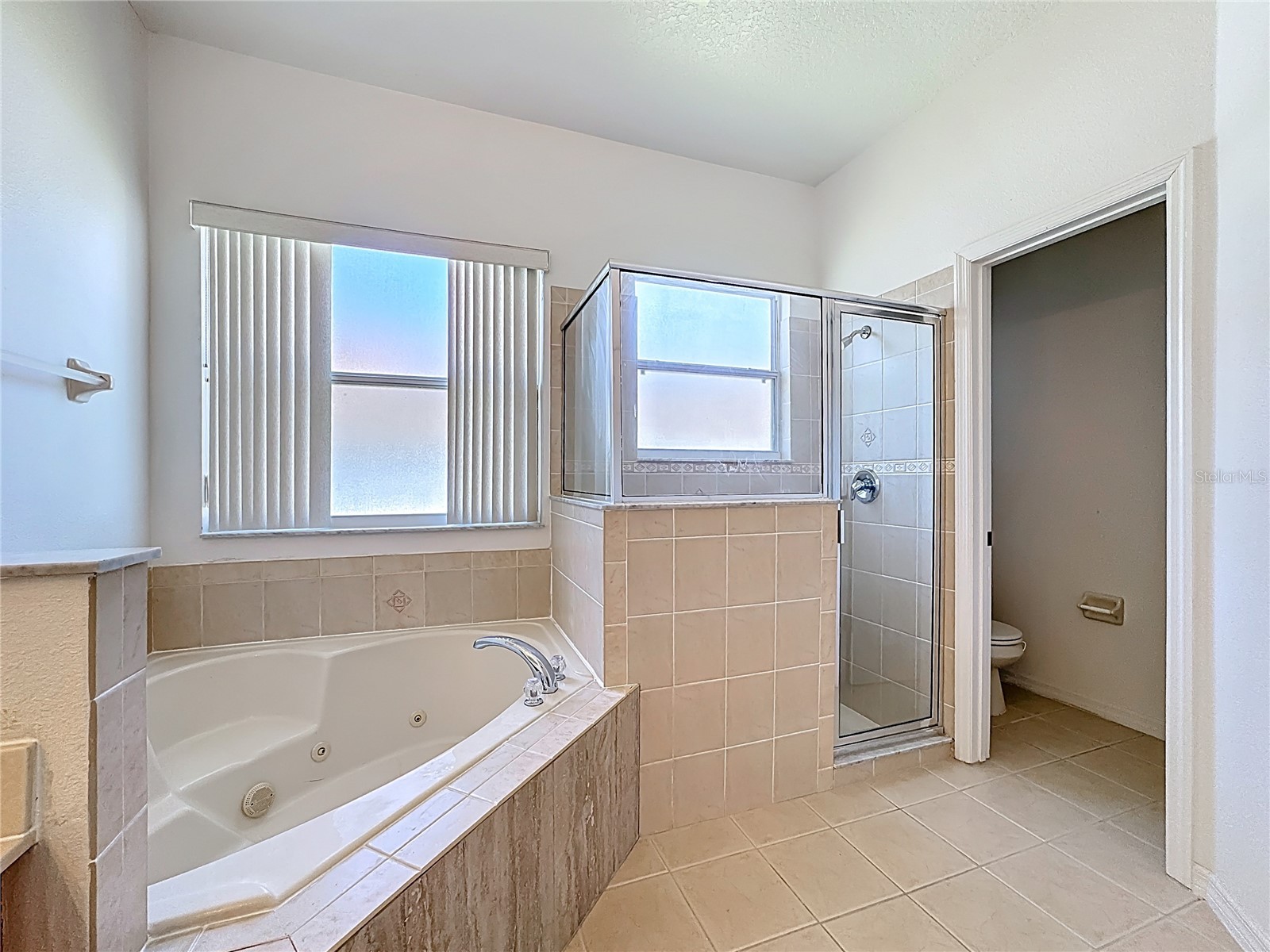 1419 Punta Gorda Drive Kissimmee FL 34759 S5136293 image7