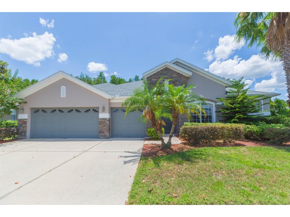 1419 Salmonberry Street Wesley Chapel FL 33543 T3525156 image1