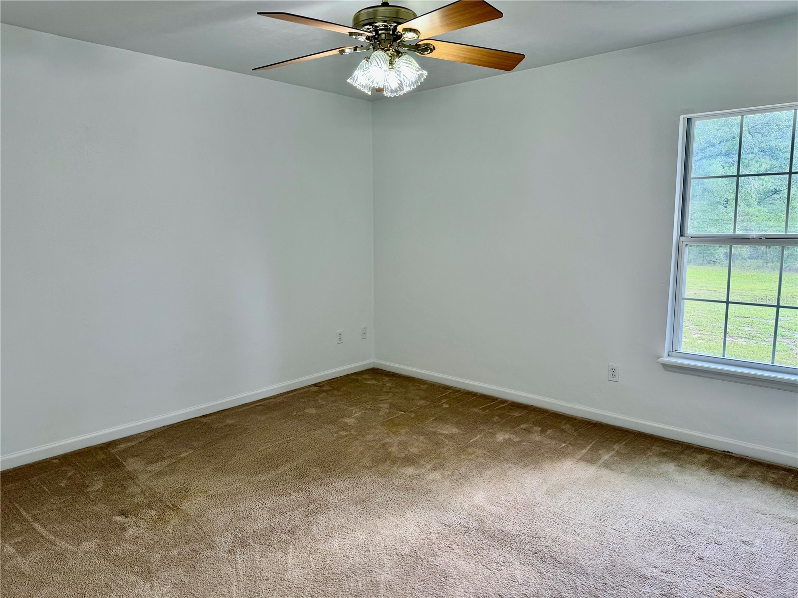 14190 NE 75th Street Bronson FL 32621 V4950060 image17