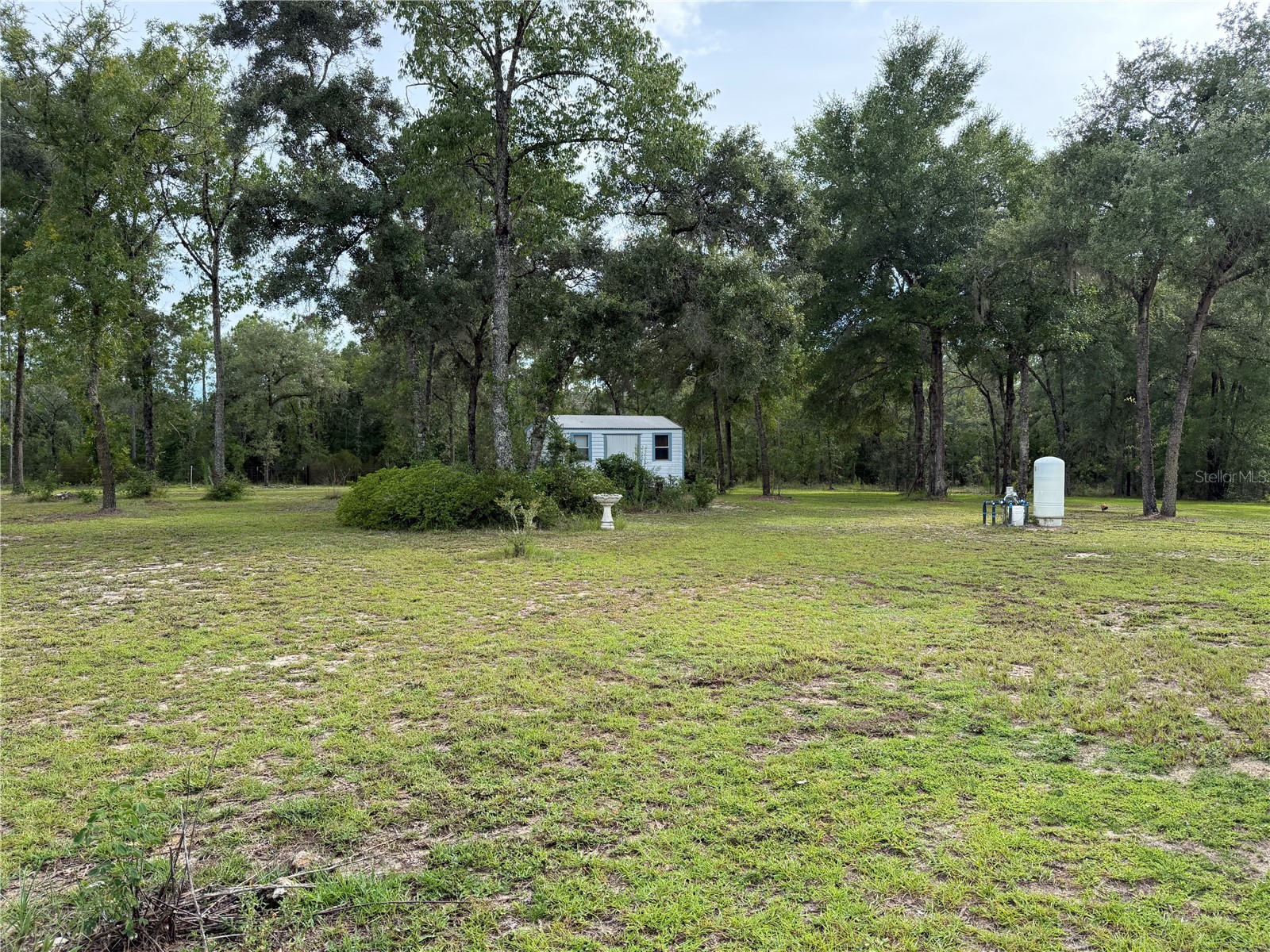 14190 NE 75th Street Bronson FL 32621 V4950060 image32