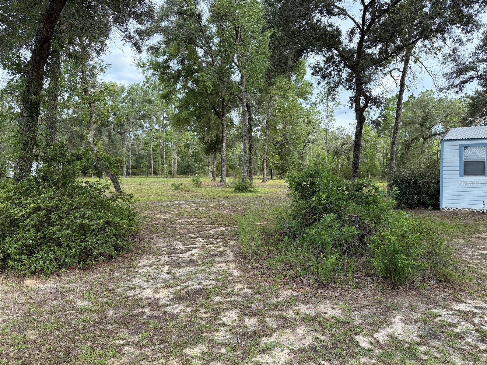 14190 NE 75th Street Bronson FL 32621 V4950060 image33