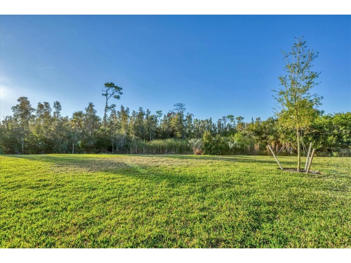 14191 Heritage Landing Boulevard #1215 Punta Gorda FL 33955 C7517776 image22