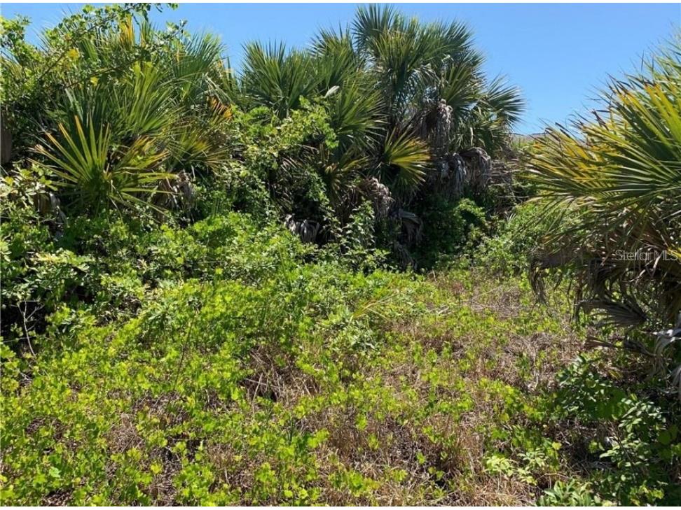 14191 Peekskill Avenue Port Charlotte FL 33981 O6129139 image1