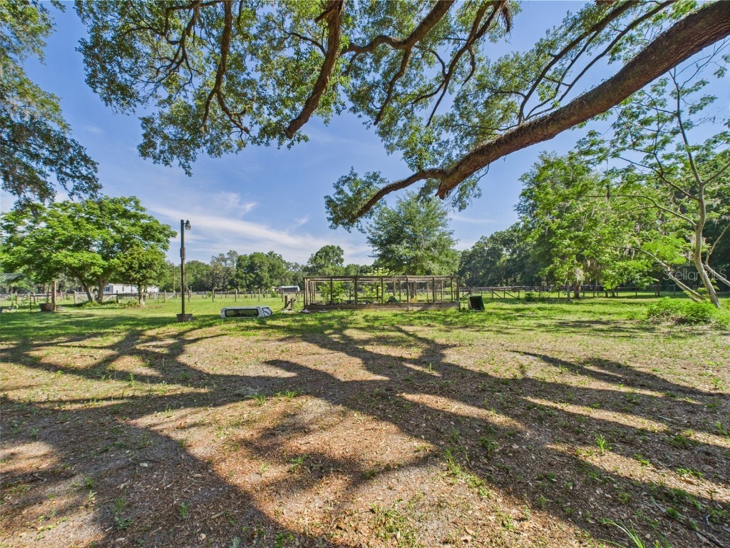 14191 SE 25th Avenue Summerfield FL 34491 P4934993 image81