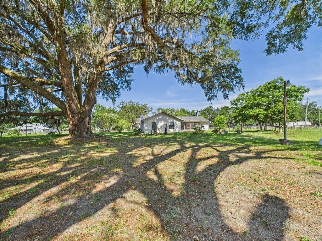 14191 SE 25th Avenue Summerfield FL 34491 P4934993 image82