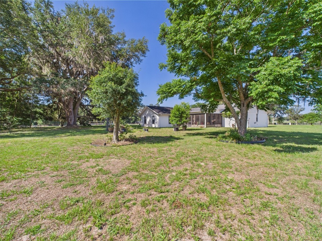 14191 SE 25th Avenue Summerfield FL 34491 P4934993 image89